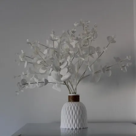 Pachi Alisios Playa شقة