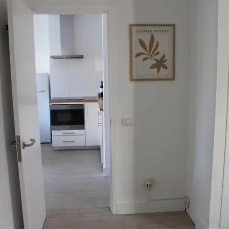 Pachi Alisios Playa Corralejo