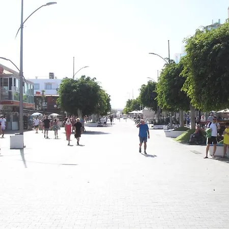 Pachi Alisios Playa
