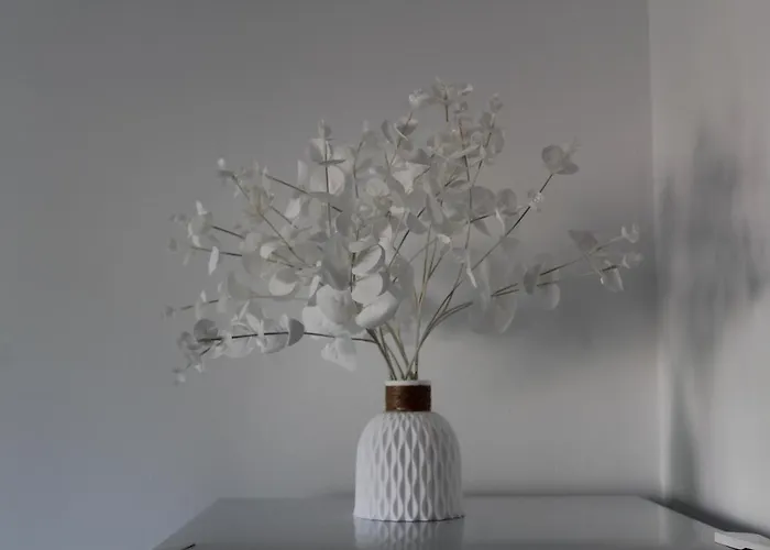 Pachi Alisios Playa Daire